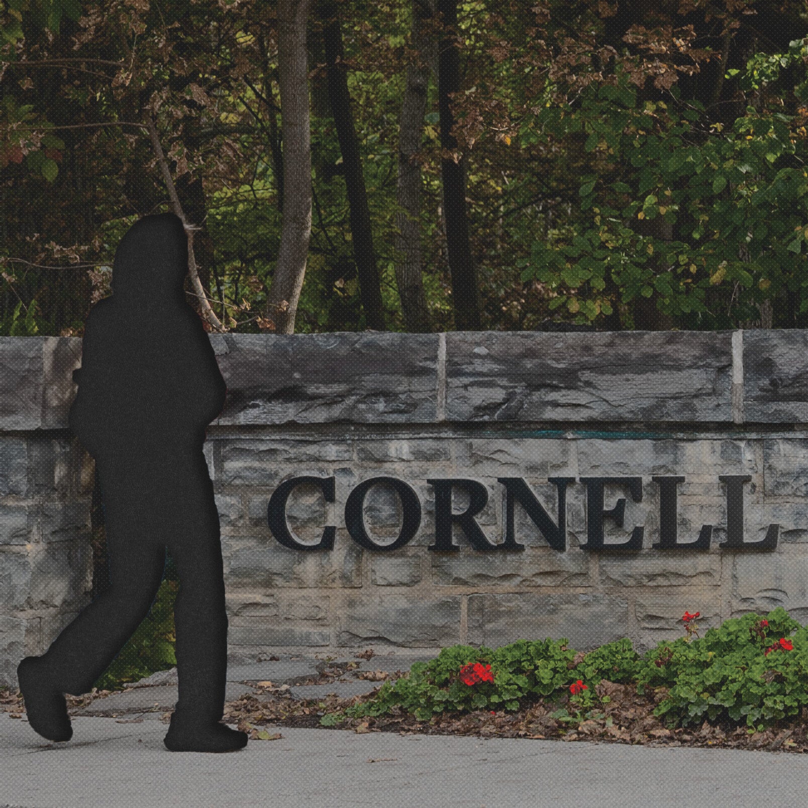I Thought Things Had Gotten Better. The Cornell Case Shows How Bad They Really Are.