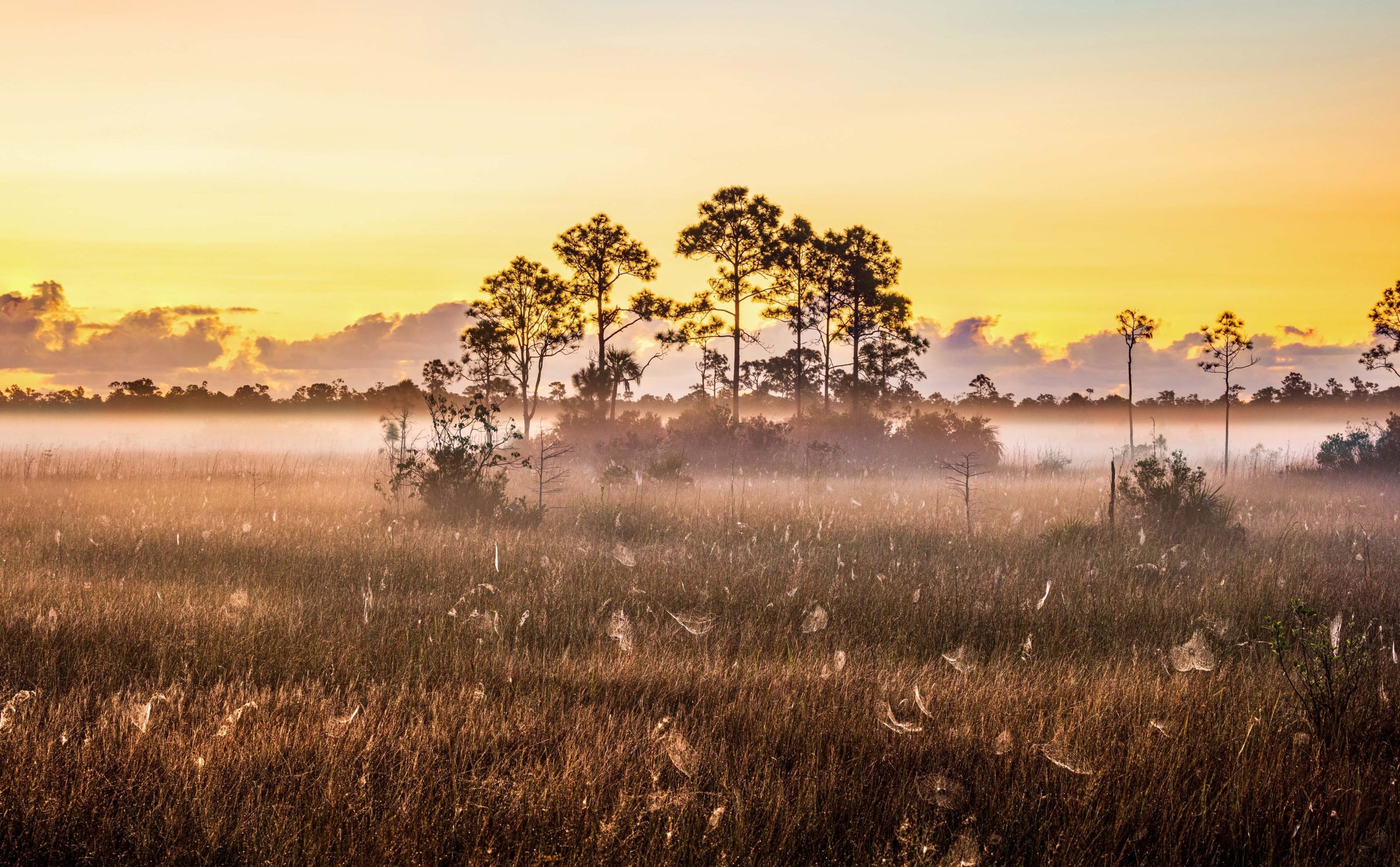 The Best East Coast National Parks, According to Someone Who’s Visited Them All